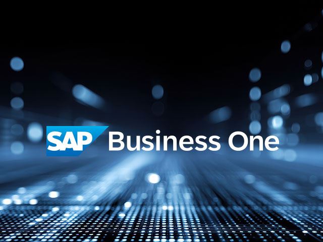 SAP B1系統維護